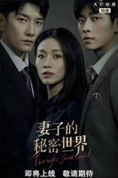 《妻子的秘密》