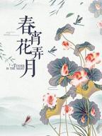 台湾电影《春宵苦短》光完整版