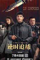 逆时追捕电视剧