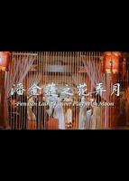 潘金莲1988年版电视剧